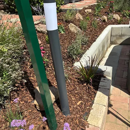 シャレー Tulipanos Haz バダチョニトマイ