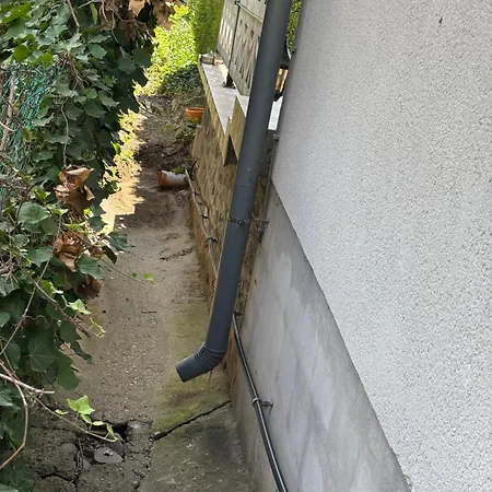 Tulipanos Haz * バダチョニトマイ