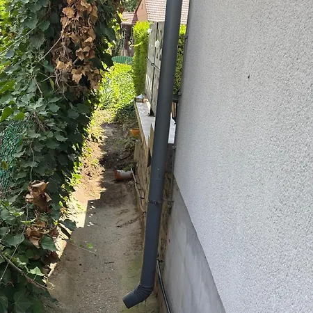 Domek alpejski Tulipanos Haz Badacsonytomaj