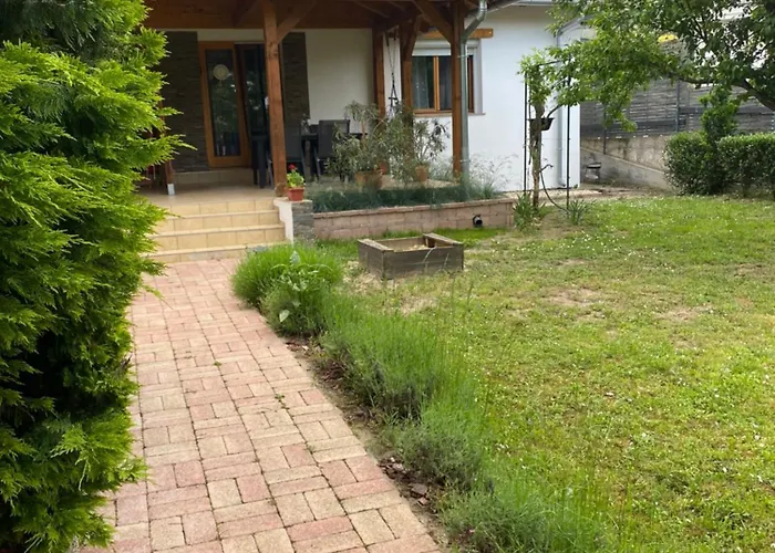 Tulipanos Haz シャレー バダチョニトマイ