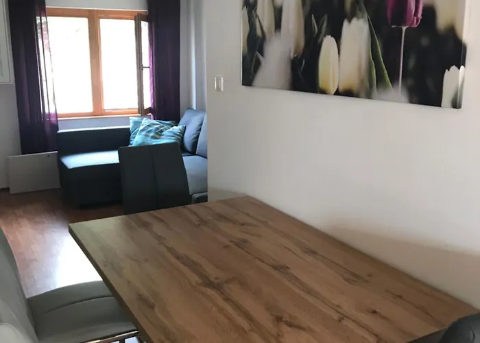 Tulipanos Haz * バダチョニトマイ