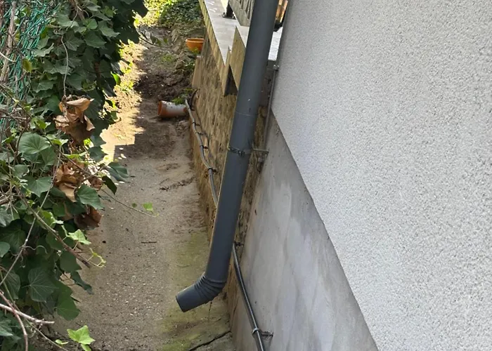 Tulipanos Haz * バダチョニトマイ