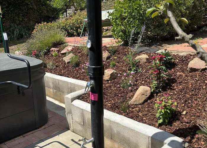 Tulipanos Haz * バダチョニトマイ